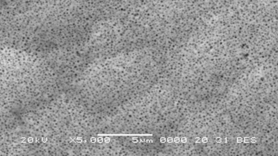 Surface view of a Nickel PTFE composite coating, Niplate 500 PTFE, with 30% PTFE